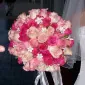desertrose63